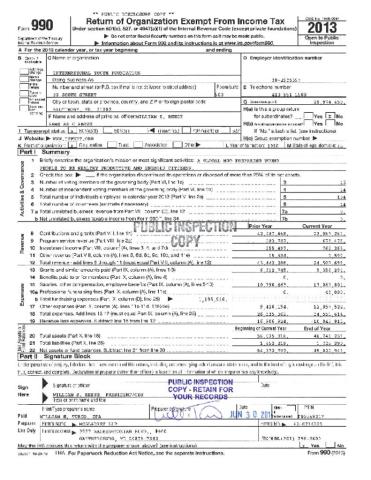 2013 IYF Form 990 cover